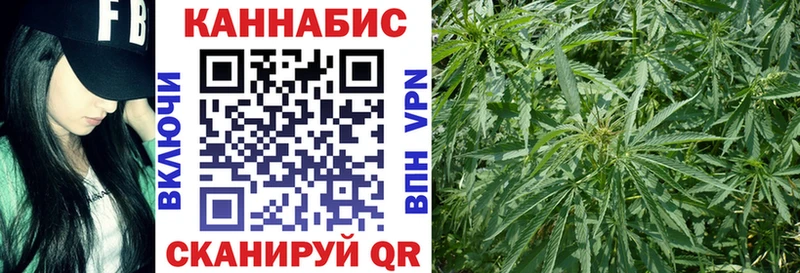 Купить где Краснозаводск МАРИХУАНА Amnesia